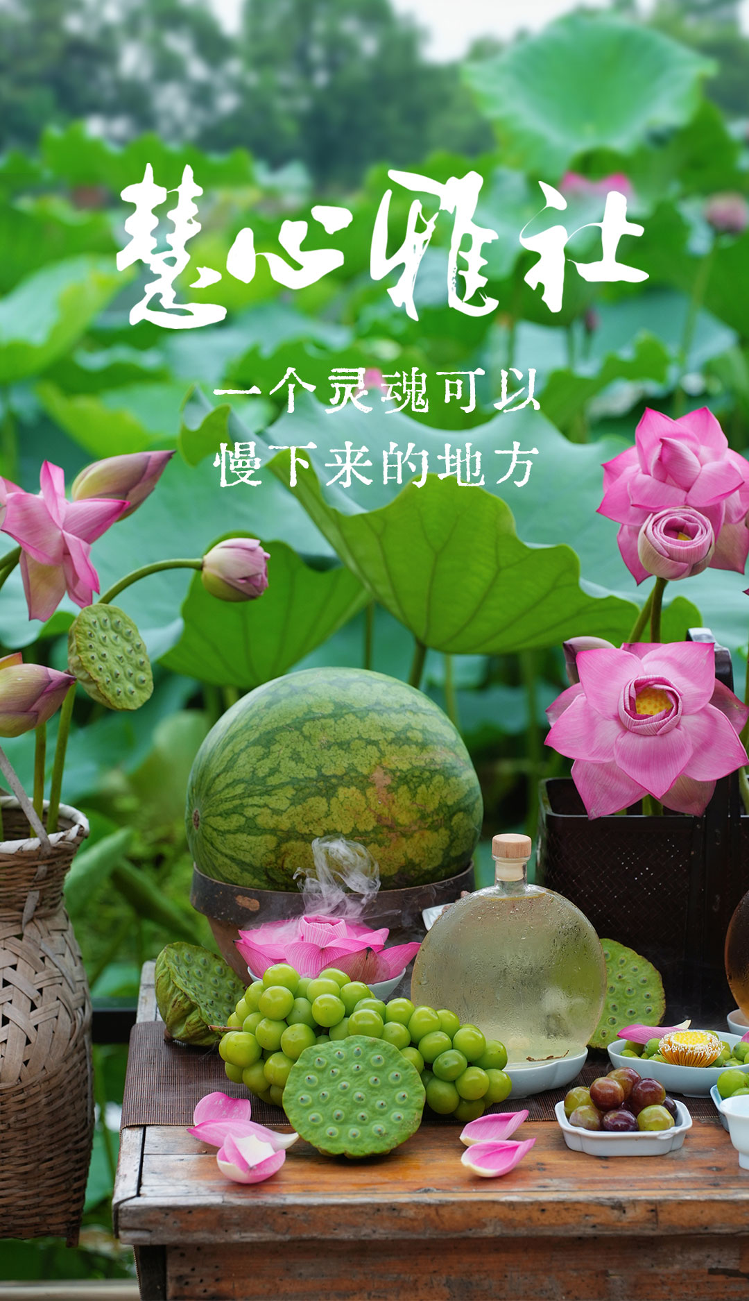 慧心雅社